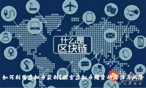 如何利用虚拟币获利？探索虚拟币赌资的潜力与风险