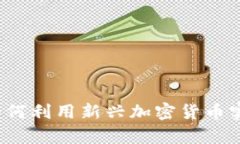 虚拟LR币：如何利用新兴加密货币实现财富增值