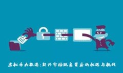 虚拟币大撤退：新兴市场现象背后的机遇与挑战
