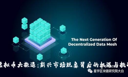 虚拟币大撤退：新兴市场现象背后的机遇与挑战