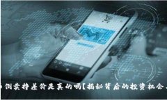 虚拟币倒卖挣差价是真的吗？揭秘背后的投资机